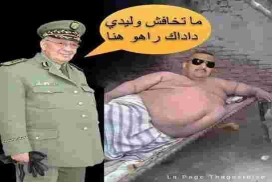 امير ديزاد يفضح طليبة صهر واحد أجنحة القايد صالح في النهب والسرقة