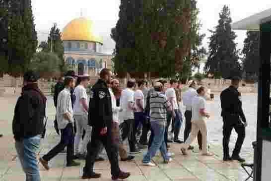 عشرات المستوطنين اليهود يقتحمون باحات المسجد الأقصى تحت حماية شرطة الاحتلال