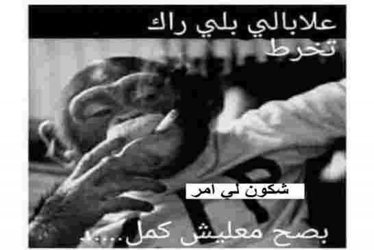 كريم يونس يتمسخر بالشعب... أريد رئيسا للجزائر بمواصفات عالمية !!