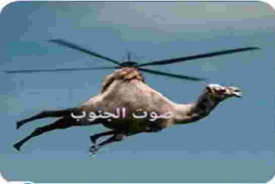 سخرية عارمة في المواقع على الجسر الجوّي لنقل مرضى الجنوب الصّحراويّ المعزول إلى مستشفيات الشّمال الج