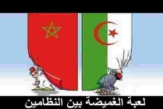 هل ينجح المثقفون بضخ دماء جديدة في العلاقات المغربية الجزائرية؟