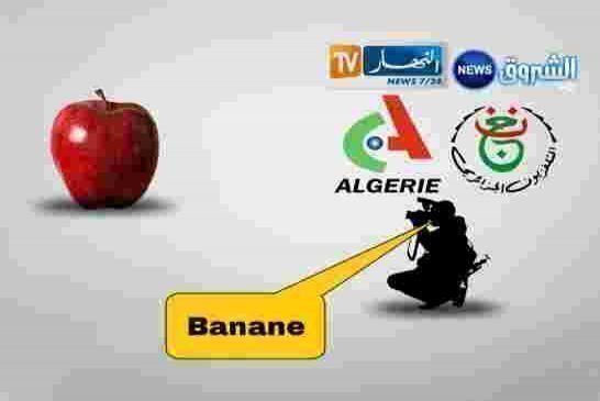 الإعلام الجزائري بين البصر والبصيرة