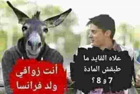 في الجزائر فقط عدالة الهاتف تستمر بمحاكمات صورية دون نتائج حقيقية