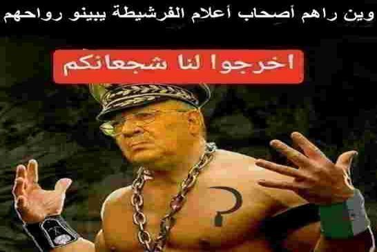 ديكتاتور الجزائر الجديد قايد صالح رابعة اعدادي يرفض الإفراج عن معتقلين الأعلام الأمازيغية
