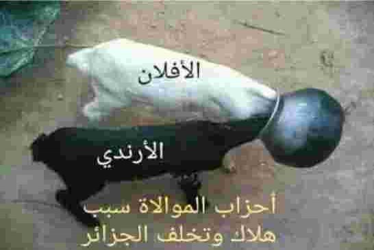 الأحزاب السياسية وخطاب قائد صالح بتنظيم انتخابات بين ثمني أحزاب الموالاة وتخوف احزاب المعارضة