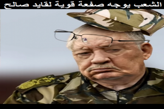 للجمعة 29 الشعب يتصدى لقائد العصابة قايد صالح