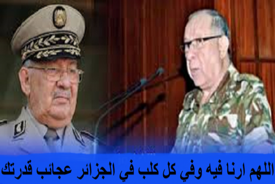 هل أصبح قايد صالح بيدق يتلاعب به الجنرال شنقريحة؟
