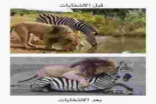 نحو عملية ترقيع لقانون الانتخابات للتحايل على الشعب
