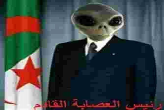 العصابة تتفق على رئيس الجزائر القادم