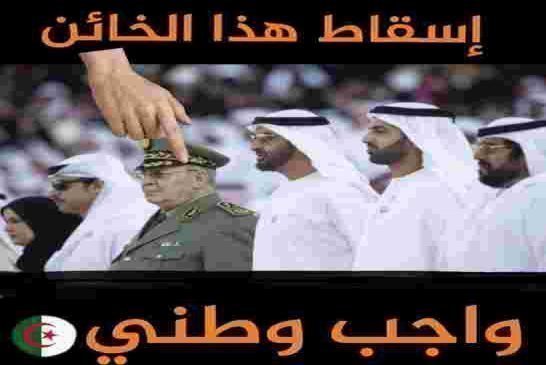 دعما للحراك الشعبي رجاء مزيان تقصف للقائد صالح بأغنية "دولة مدنية"