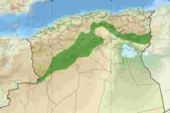 حكومة نور الدين بدوي تقرر إعادة إحياء مشروع السد الأخضر
