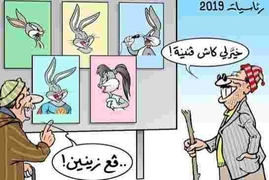 22 أرنب سباق يسحبون استمارات خوض مسرحية الرئاسيات