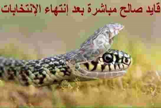 زيتوت: كل من يشارك في مسرحية الإنتخابات فهو خائن لدم الشهداء
