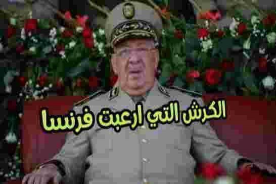 قايد صالح يهدد البرلمان الأوروبي من الناحية العسكرية الثانية بوهران