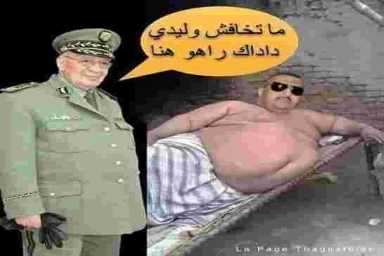 النائب بهاء الدين طليبة يفجر قنابل و يفتح النار على قايد صالح و ابناءه