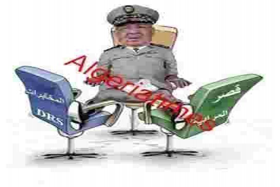 أعضاء في البرلمان الأوروبي يحته على تبني عقوبات ضد عصابة قايد صالح ونظامه