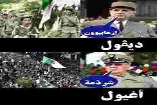 أليس في الجزائر رجل رشيد؟