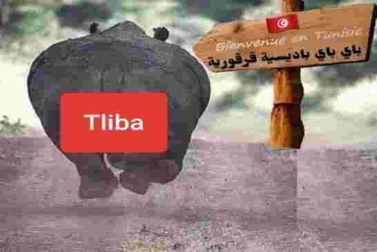 العلبة السوداء للقايد صالح طليبة يسابق الزمن من أجل الحصول على طلب لجوء سياسي في المملكة المتحدة
