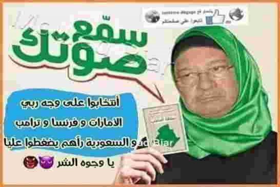 الناطق الرسمي للحكومة: “غالبية الشعب الجزائري تدعم تنظيم انتخابات مزورة بطريقة نزيهة وشفافة”