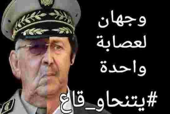 يا شعب الحراك الجزائري طالما لم يَنْقَرِضْ شياتةُ بومدين وبوتفليقة ستبقى مُهِمَّتُكُمْ صعبةً وربما م