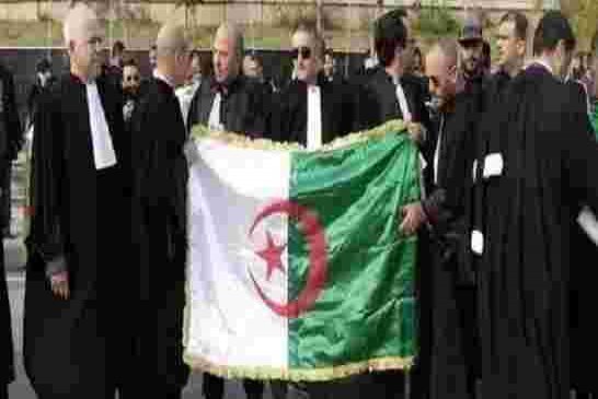 تضامنا مع المعتقلين في سجون القايد صالح المحامون يقررون مقاطعة جميع أعمال التحقيق