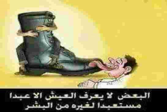 تصريح عمار سعداني بمغربية الصحراء يدفع اعلام الزيكو الى العويل ويتهمه بالحصول على أموال من المغرب