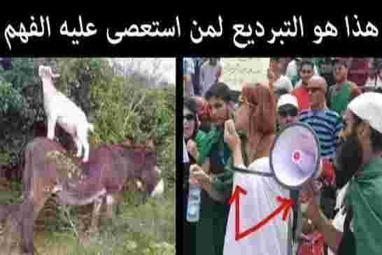 وزير العدل زغماتي : يرى في الرئاسيات “طوق النجاة” راكم فاهمين للعصابة