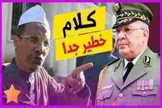 على بلحاج يبهدل نظام احمد قايد صالح الذي يريد محو الجزائريين