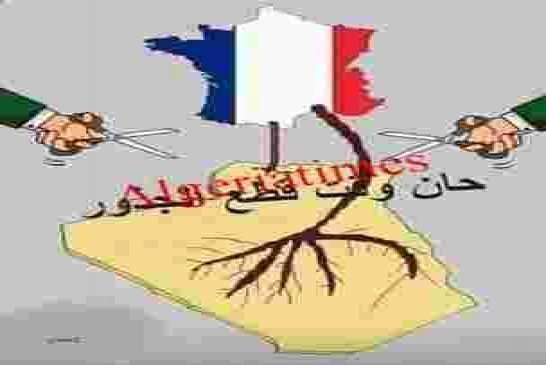 لماذا تخاف العصابة الحاكمة من كتابة تاريخ الجزائر كاملا