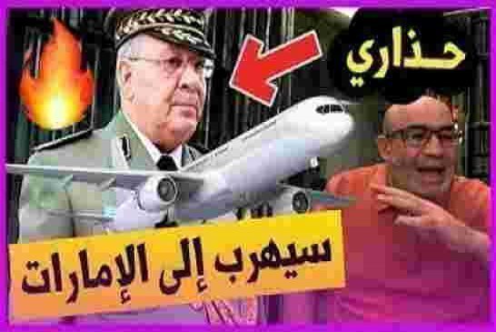 العربي زيتوت سقوط احمد قايد صالح قريب جدا وسيهرب حتما إلى الإمارات