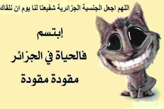 محمد العربي زيتوت العصابة تعرض 5 لصوص على الشعب الجزائري