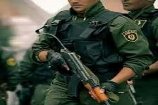 الدرك الوطني يخوض حرب بلا هوادة على المهلوسات والمخدرات