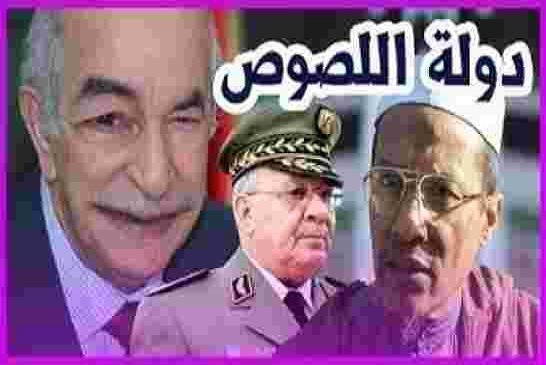 على بن حاج يقصف عبد المجيد تبون ونظام عصابة قايد صالح