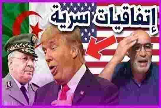 خطير... زيتوت يكشف إتفاقيات سرية بين احمد قايد صالح وأمريكا