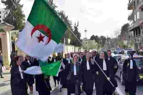 المحامون يقاطعون جلسات محاكمة معتقلي الحراك