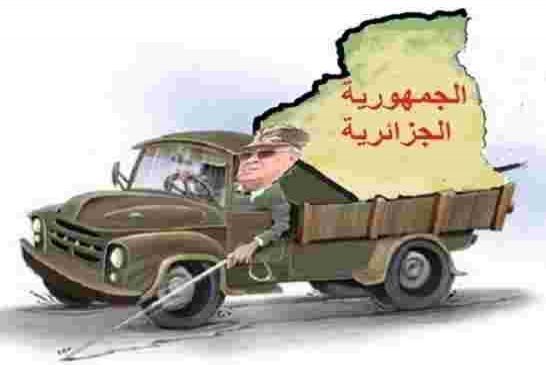 قايد صالح يرمي الكرة للشعب لإختيار الأرنب الأنسب من بين الـ5