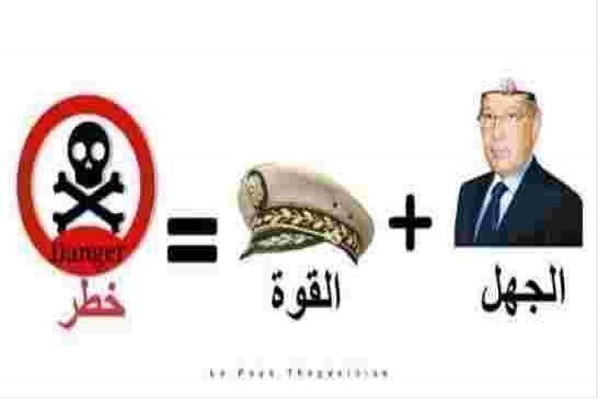 عصابة قايد صالح وسياسة عنزة ولو طارت