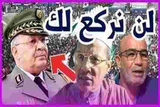 علي بن حاج يبهدل احمد قايد صالح رب الجزائر الجديد