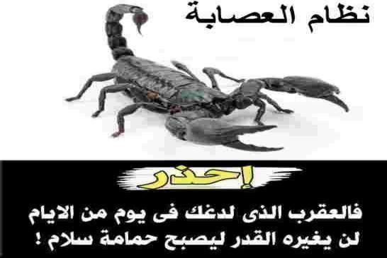 الجزائر ضائعة بين الحراكيين والشياتين والجيش