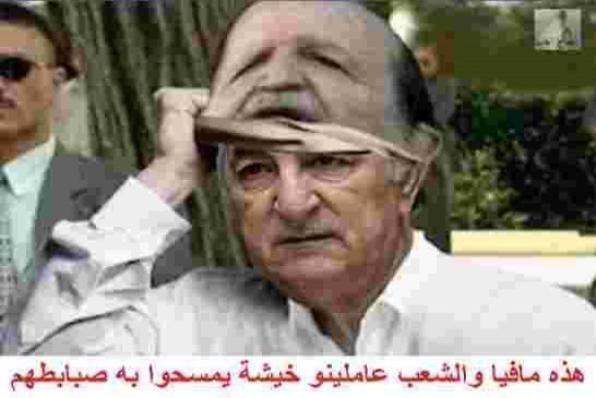 تبون من “غرداية” لولا قايد صالح لأصبحنا في خبر كان
