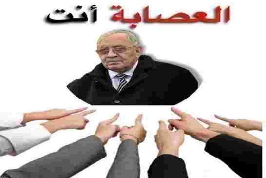 هل يقود قايد صالح حراك الجزائر بخطوات ثابتة لإعادة استنساخ عصابة أخرى من عناصر العصابة السابقة؟