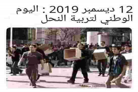 لثلاثاء الواحد والأربعين على التوالي نداءات الطلبة من أجل إضراب عام يوم الأحد