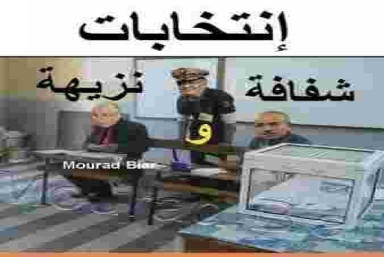 سلطة تزوير الانتخابات تحدر كل من تسول له نفسه التدخل أو تزوير العملية الانتخابية