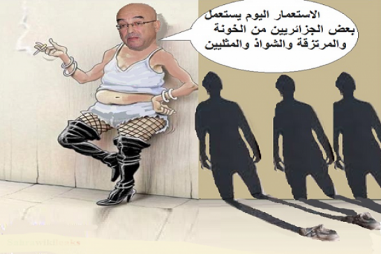 امير ديزاد يقصف ويهاجم وزيد الداخلية صلاح الدين دحمون