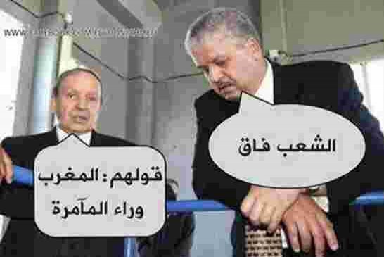اكثر من 2400 مليار خسائر الخزينة سببها سلال