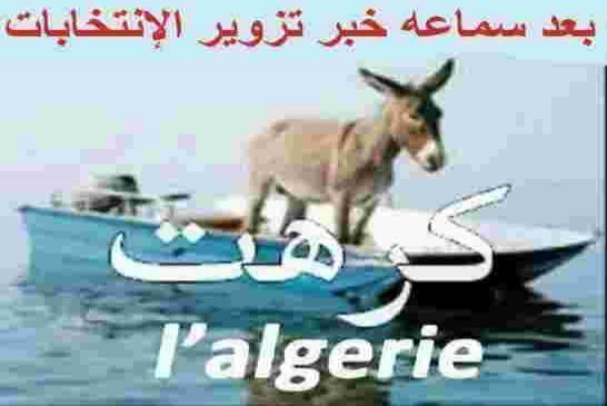 عاجل:عملية تزوير فريدة من نوعها ملء مئات الصنادق بالأظرفة لصالح ميهوبي ببطائق آلاف السجناء الجزائريي