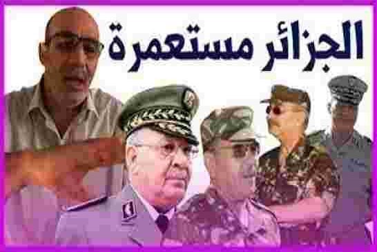 زيتوت الجزائر مستعمرة من كمشة جنرالات خربو الوطن