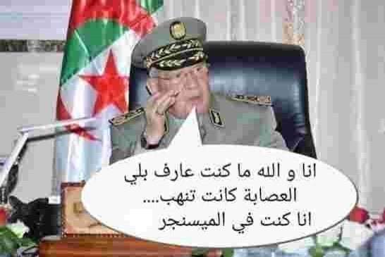 رئيس العصابة خائف ويتخبط و يشك في الجميع حتى في الجنرالات الكبار المقربين منه