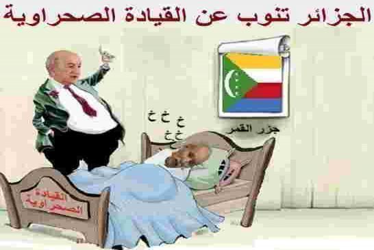 تبون يقرر استمرار حياة  الشعب الجزائري في مستنقع قضية الصحراء ليركز التخلف الأبدي في الجزائر