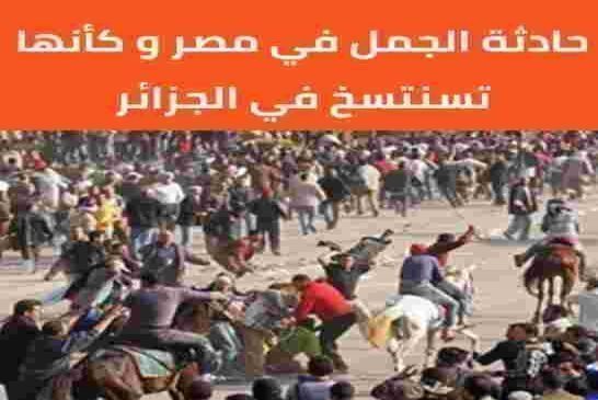 حادثة الجمل في مصر و حادثة البغال في الجزائر سيناريو مصري وإخراج إماراتي